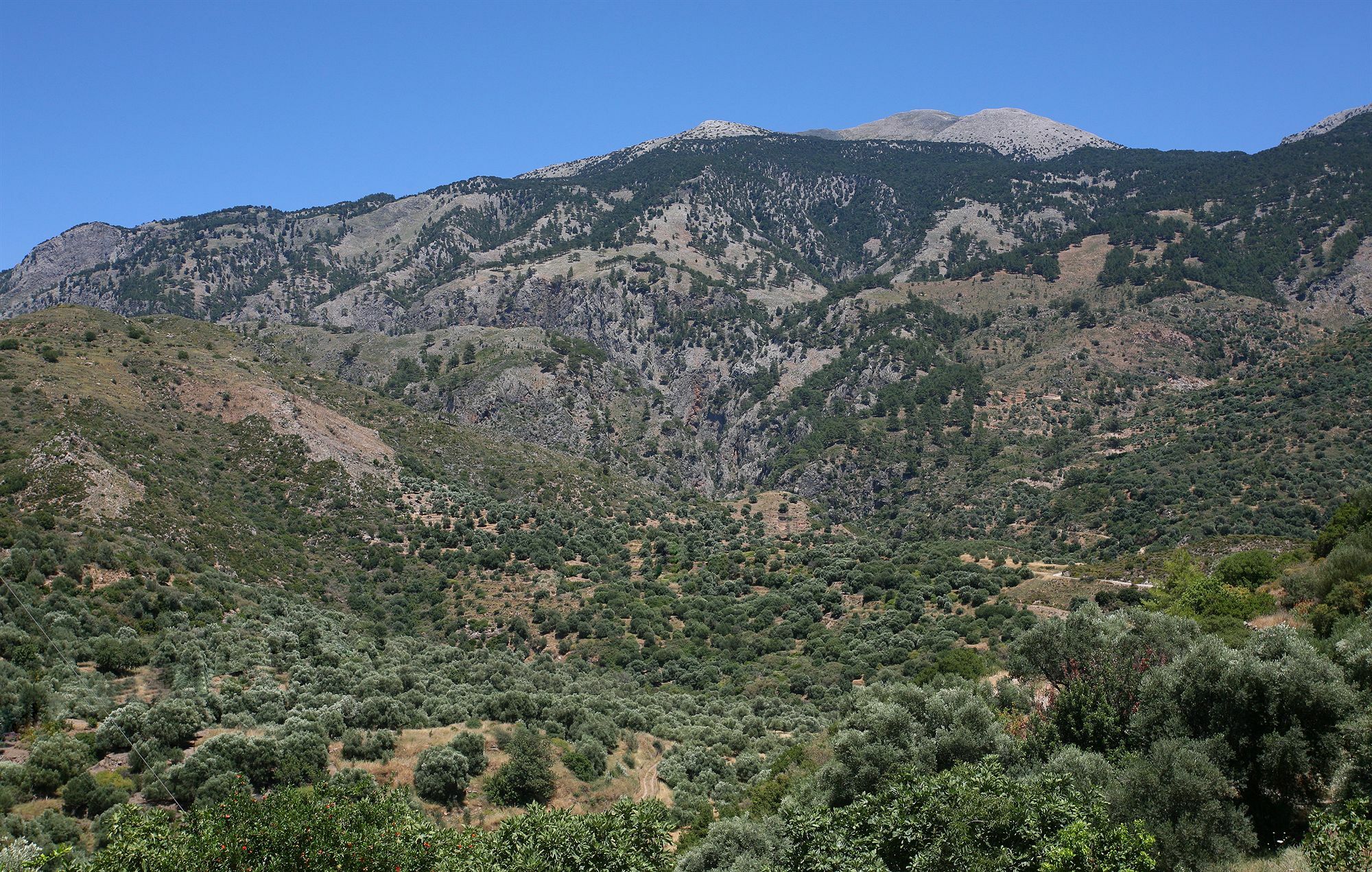 Monastery Estate Guesthouse Σούγια Εξωτερικό φωτογραφία